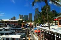 Bayside Miami