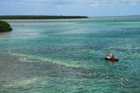 Auf dem Weg nach Key West