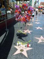 Blumen anlässlich Jim Morrisons Todestags