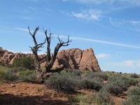 Wanderung im Arches Nationalpark