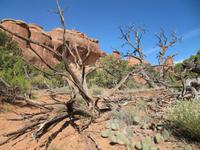 Wanderung im Arches Nationalpark