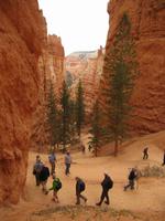 Wanderung im Bryce Canyon