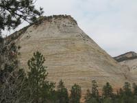 Schachbrettfelsen im Zion Nationalpark
