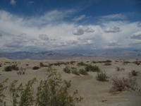 Mesquite Flat Sand Dunes - Death Valley