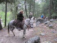 Cowboys im Yosemity Nationalpark 