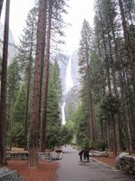 Yosemity Nationalpark 