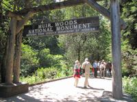 Muir Woods National Monument