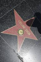 Los Angeles - Hollywood Boulevard Walk of Fame