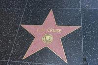 Los Angeles - Hollywood Boulevard Walk of Fame