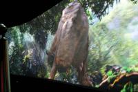 Los Angeles - Universal Studiotour - 3D Erlebnis Jurassic Park und King Kong