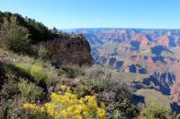 Spaziergang am Grand Canyon