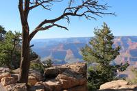 Spaziergang am Grand Canyon