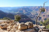 Spaziergang am Grand Canyon