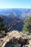 Spaziergang am Grand Canyon