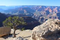Spaziergang am Grand Canyon