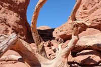Felsentore im Arches-Nationalpark in Utah