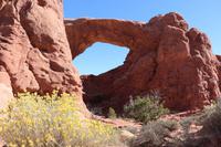 Felsentore im Arches-Nationalpark in Utah