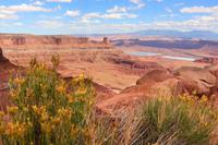 Im Canyonlands-Nationalpark