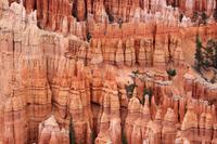 Wunderschöne Sandsteinfarben im Bryce Canyon
