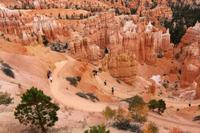 Wanderung am Bryce Canyon