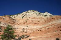 Felsenformation im Zion-Nationalpark