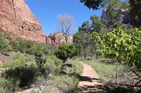 Spaziergang im Zion-Nationalpark