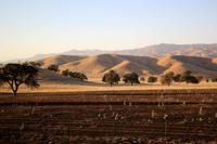 Fruchtbare Täler in Kalifornien