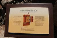 Wanderung zu den Mammutbäumen im Yosemite-Nationalpark