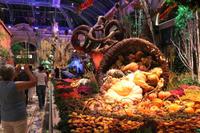 Las Vegas Nachttour - Hotel Bellagio