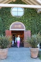 Besuch des Weingutes Cosentino im Napa Valley Kalifornien