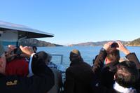 Bootsfahrt mit der Fähre nach San Francisco - Golden Gate Bridge