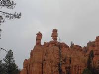 Salz- und Pfefferstreuer