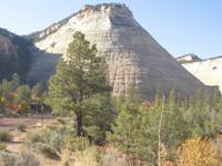 Checkboard Mesa, Zion NP