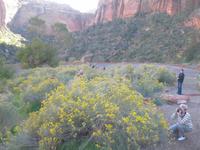 Wer versteckt sich wo?