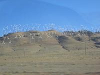 Auf dem Weg nach Bakersfield