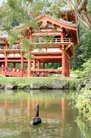 Byodo-In-Tempel