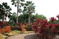 Im Botanischen Garten der Plantage