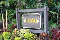 Traditioneller Tanz-Abend