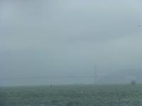 Golden Gate im Nebel
