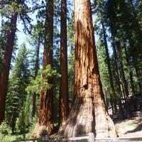 Yosemite-Nationalpark