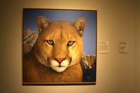 Buffalo Bill Center, Cody