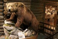 Buffalo Bill Center, Cody