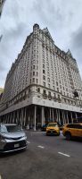 79 Plaza Hotel Kevin allein in NY