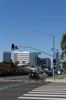 7_Rodeo Drive
