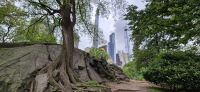 81 Kontraste im Central Park