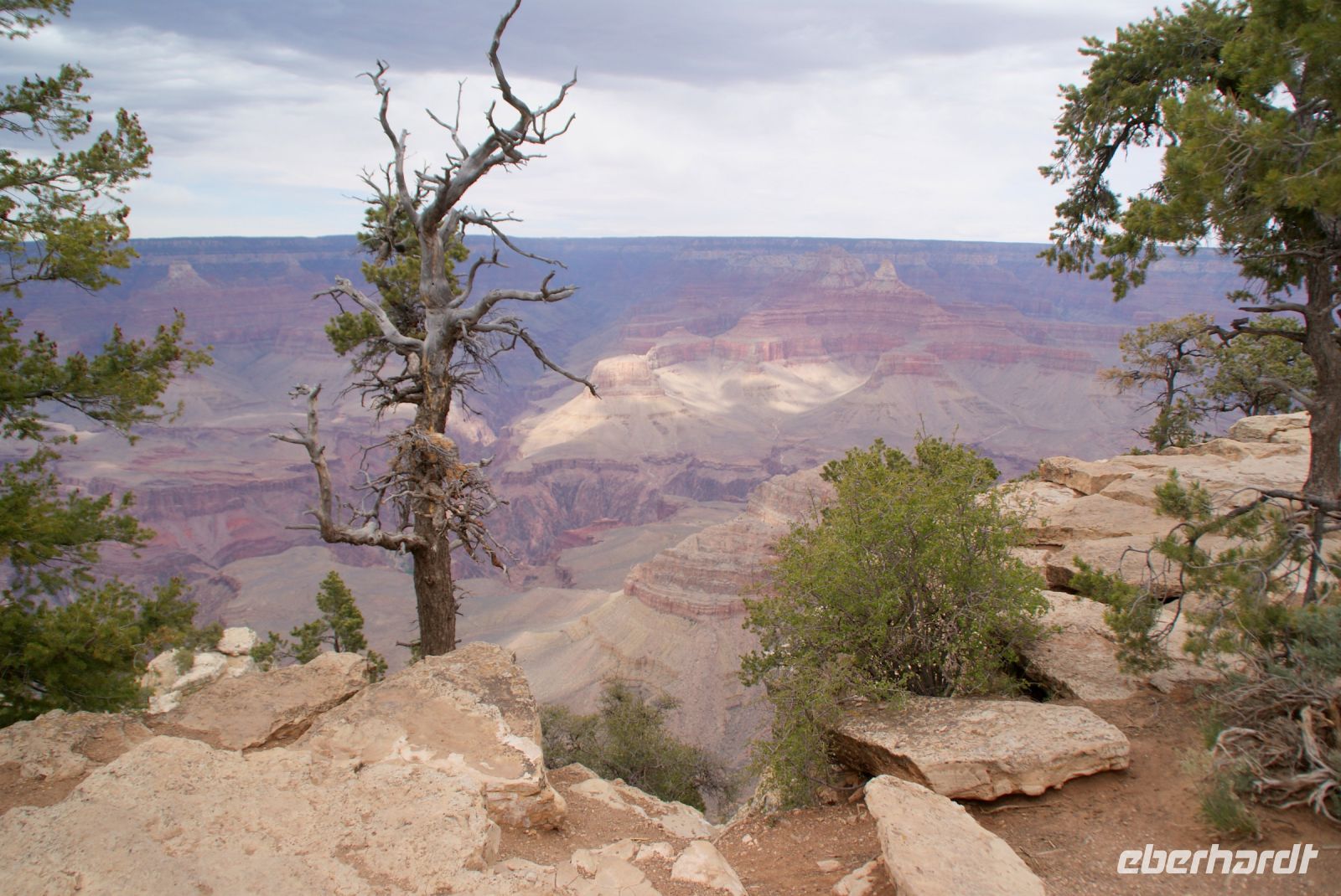 84 Grand Canyon
