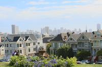 Die Painted Ladies