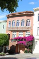 Blumenpracht in San Francisco