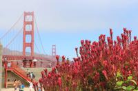 Blick auf die Golden Gate Bridge