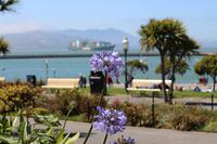 Fisherman's Wharft - San Francisco